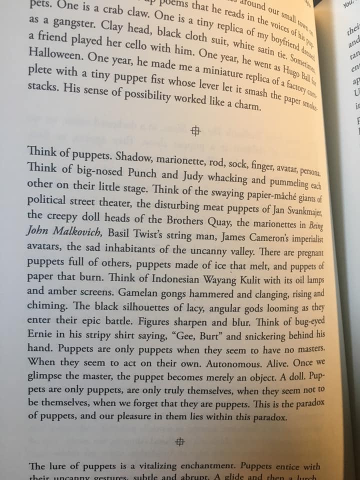 49897648_10155826546426994_8135720810942824448_n